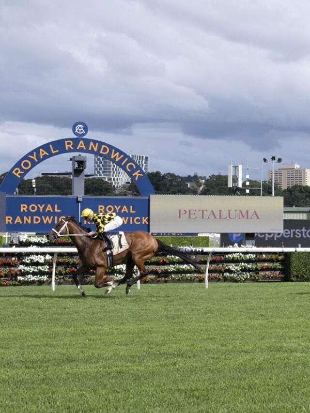 The streak continues