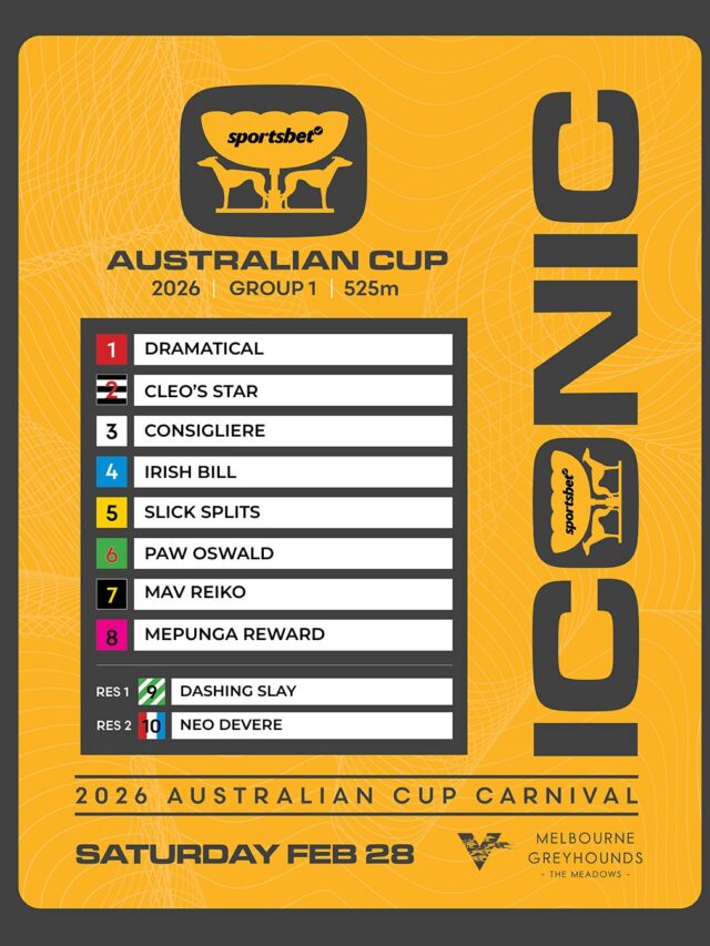 Aus Cup Box Draw