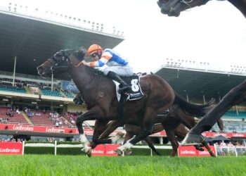McEvoy reflects on Blue Diamond call as Veight returns in Futurity Stakes