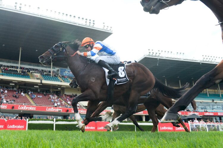 Veight ridden by Damian Lane wins the Australia Stakes at Moonee Valley Racecourse on January 27, 2024 in Moonee Ponds, Australia. (Photo by Brett Holburt/Racing Photos) B