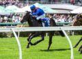 Eurocanto the one as Hayes eye 11th Blue Diamond