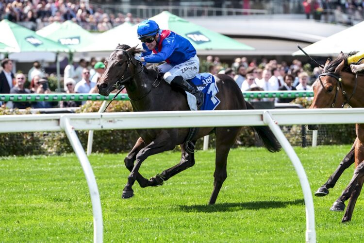 Eurocanto ridden by Mark Zahra wins the Maribyrnong Trial Stakes at Flemington Racecourse on October 04, 2025 in Flemington, Australia. (Photo by Brett Holburt/Racing Photos)