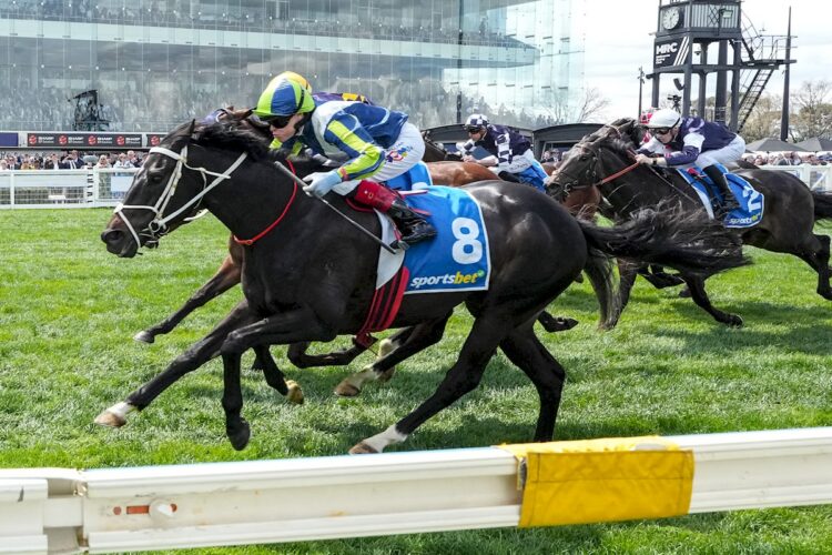 Brayden Star (GB) ridden by Craig Williams wins the Sportsbet Herbert Power Stakes at Caulfield Racecourse on October 11, 2025 in Caulfield, Australia. (Photo by George Sal/Racing Photos)
