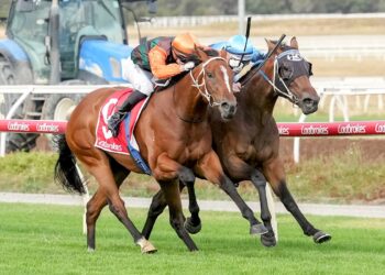 The Benchmark ridden by Lachlan Neindorf wins the Future Stars Series Heat 10 at Sportsbet Pakenham on February 12, 2026 in Pakenham, Australia. (Photo by George Sal/Racing Photos)