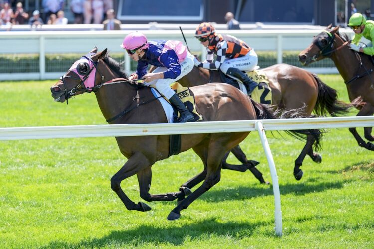 Suntora ridden by Jackson Radley wins the Rise Kitchen Co VOBIS Gold Heath at Caulfield Racecourse on February 07, 2026 in Caulfield, Australia. (Photo by George Sal/Racing Photos)
