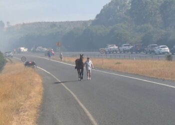 Fire, smoke, chaos: Highway horror before Cranbourne Cup epic