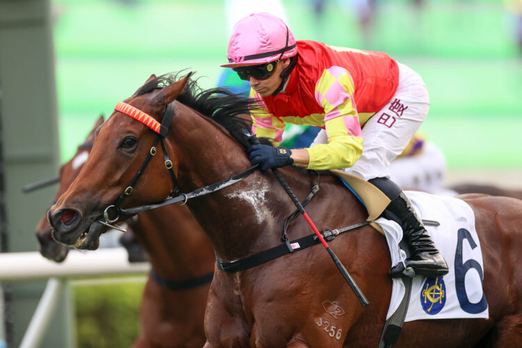 My Wish is a six-time winner in Hong Kong [HKJC]