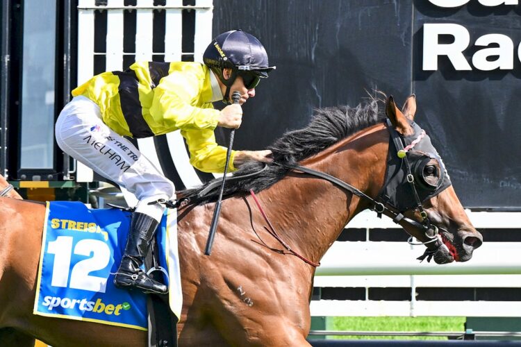 Streisand ridden by Ben Melham wins the Blue Diamond Stakes at Caulfield Racecourse on February 21, 2026 in Caulfield, Australia. (Photo by Reg Ryan/Racing Photos)
