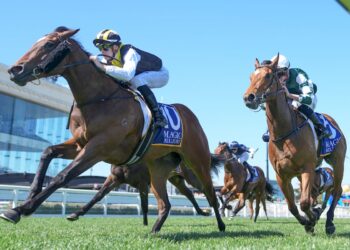 $51 shot still in Blue Diamond mix after NZ campaign