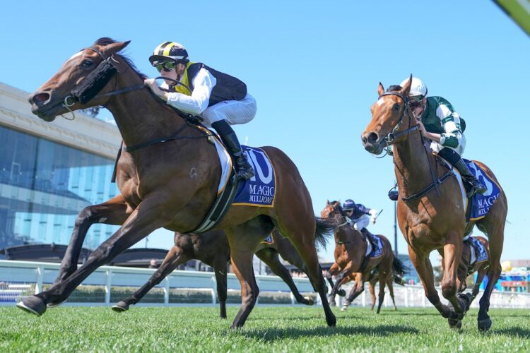 Torture (NZ) ridden by Ethan Brown wins the Magic Millions Debutant Stakes at Caulfield Racecourse on October 15, 2025 in Caulfield, Australia. (Photo by Scott Barbour/Racing Photos)