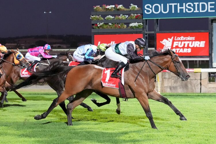Ka Ying Cheer ridden by Luke Currie wins at Pakenham on February 05, 2026 in Pakenham, Australia. (Photo by Scott Barbour/Racing Photos)