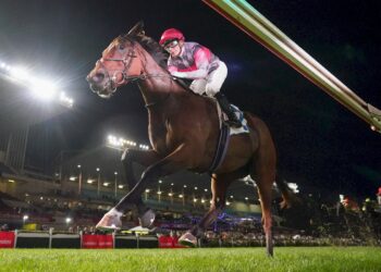 Doping case bombshell: Trainers vindicated as key evidence scrapped amid concessions horses weren’t deliberately drugged