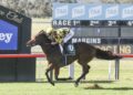 Northern Country Championships Wild Card: Watling maps the key chances at Scone