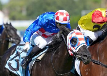 Punter lands $100,000 with perfect Pick 6