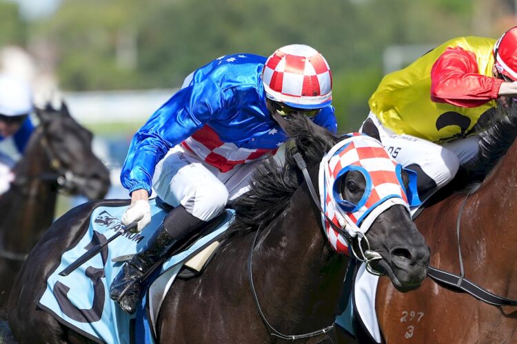 Big Wigs ridden by Lachlan Neindorf wins the The TBV VOBIS Platinum Showdown at Caulfield Racecourse on March 14, 2026 in Caulfield, Australia. (Photo by Scott Barbour/Racing Photos)
