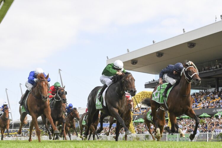 Golden SLipper Day 2025 [Bradley Photos]