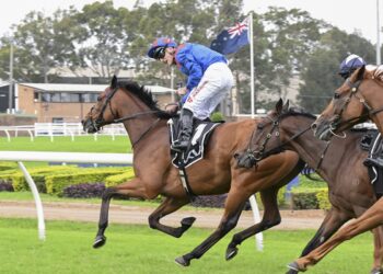 War chaos hits Sydney carnival as UK raiders stranded