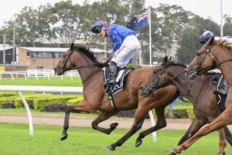 Dubai Honour [BRadley Photos]