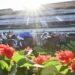 Doncaster Mile Barrier Draw: Winners, losers and a common misconception