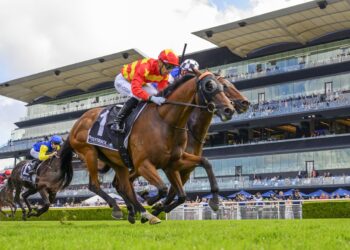 Dean Watling’s Tips: Hawkesbury Provincial-Midway Championship Qualifier Day