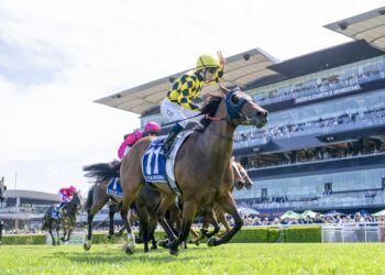 Muswellbrook Tips: Dean Watling’s Best Bets for Country Championships Qualifier Day