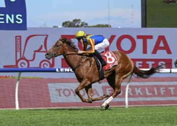 Dean Watling’s Sydney Trial Watch: Horses ready to win from Randwick & Rosehill