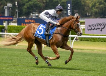 Golden Slipper 2026 Barrier Draw: Dean Watling’s Winners and Losers