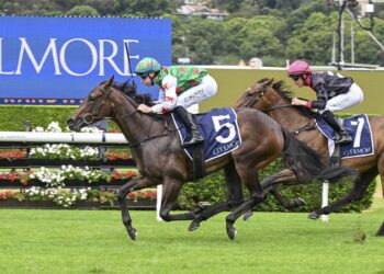 Ciaron’s Star a dream name now chasing Golden Slipper glory