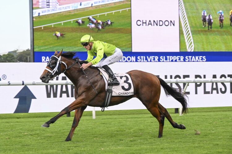 Stretan Ruler [Bradley Photos]