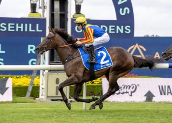 Provincial-Midway Wildcard Day: Newcastle Tips & Best Bets