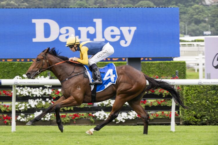 Paradoxium [Bradley Photos]