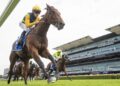 Bjorn Baker’s stunning turnaround as Paradoxium powers toward Golden Slipper
