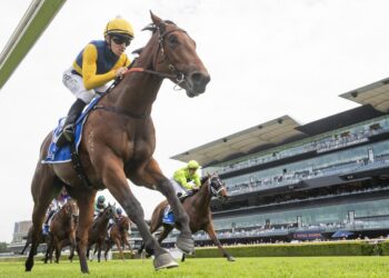 Bjorn Baker’s stunning turnaround as Paradoxium powers toward Golden Slipper