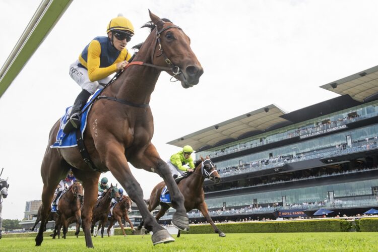 Bjorn Baker’s stable turnaround continues as Paradoxium storms into Golden Slipper favouritism [Bradley Photos]
