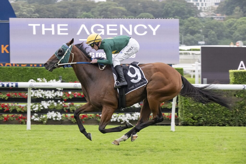 Autumn Glow v Sheza Alibi could be the Doncaster Dream