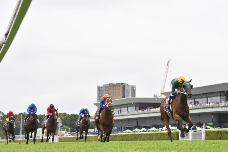 Sheza Alibi wins the Randwick Guineas [Bradley Photos]