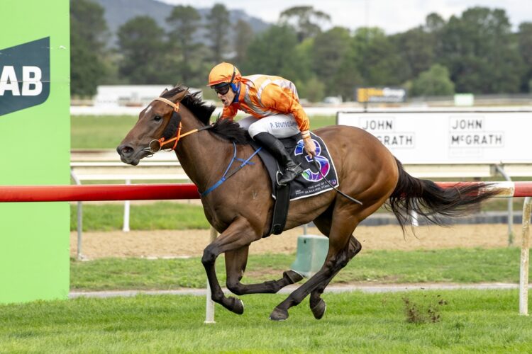 Music Time [Bradley Photos]