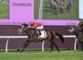 Doncaster doubt for Sixties despite Phar Lap Stakes win