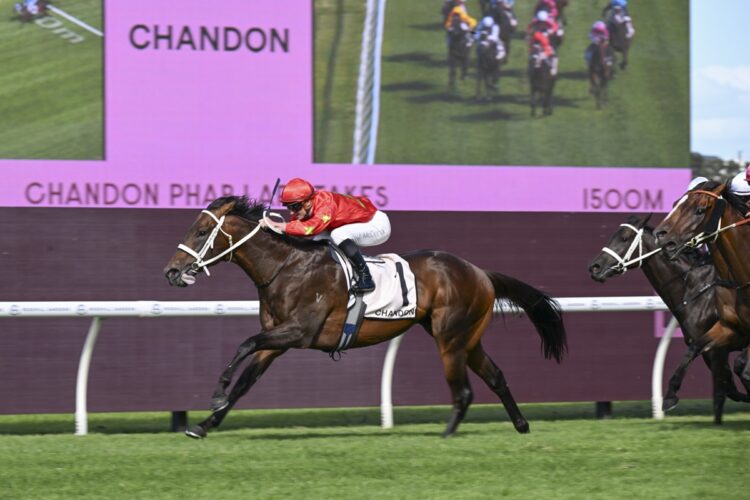 Sixties [Bradley Photos]