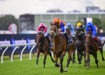 Autumn Boy [Bradley Photos]