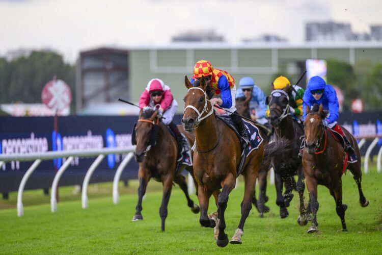 Autumn Boy [Bradley Photos]