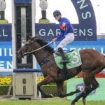 Golden Slipper winner Guest House set for stud inspection as $25m race begins