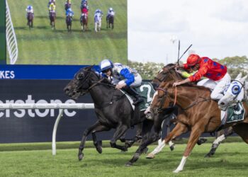 Belle Cheval survives a protest to win the Vinery Stud Stakes [Bradley Photos]