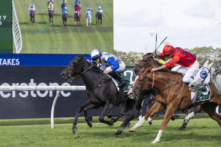 Belle Cheval survives a protest to win the Vinery Stud Stakes [Bradley Photos]