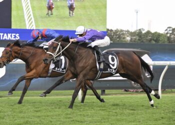 Aeliana holds out Dubai Honour [Bradley Photos]