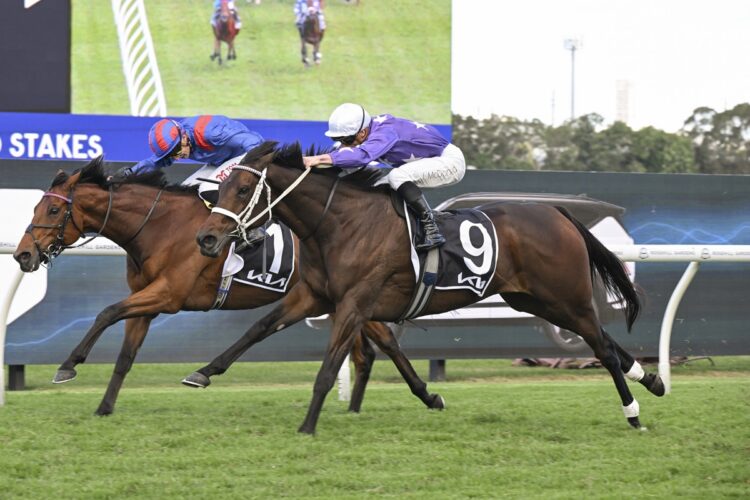 Aeliana holds out Dubai Honour [Bradley Photos]