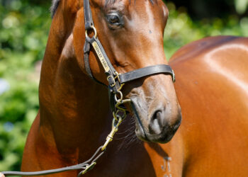 302 strikes again: Ashes coach McCullum’s lucky number delivers