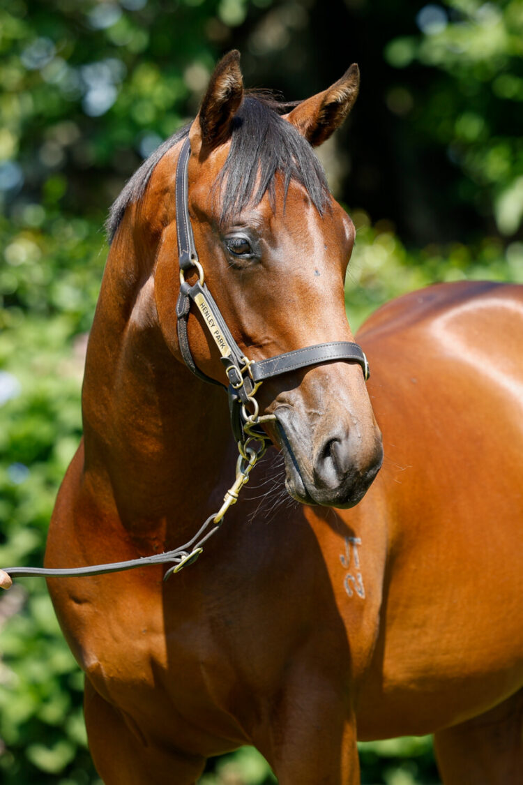 Lot 302, sold on Tuesday