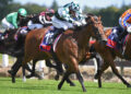 2026 New Zealand Derby Preview: Every runner assessed for Ellerslie’s 2400m Classic