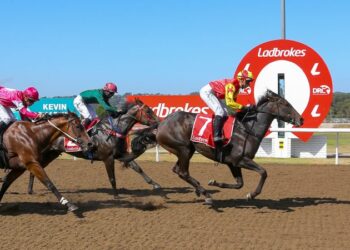 From Cup glory to daily grind: Launceston Cup hero Glenn Stevenson plots next move